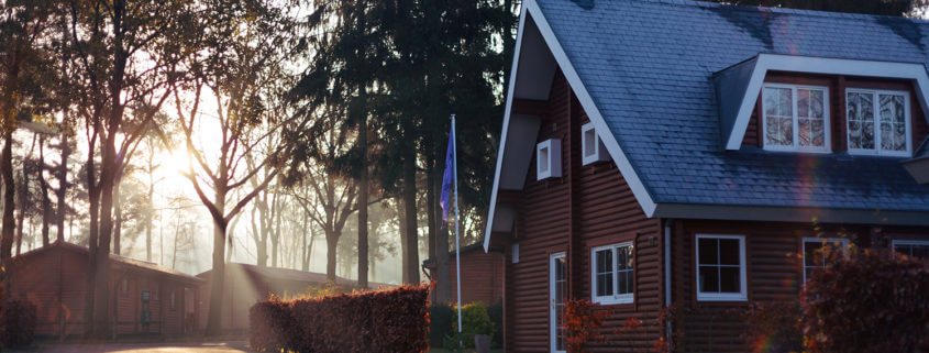 buildings and trees